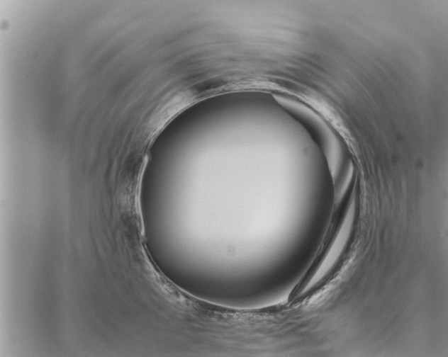 X0000086890905200704231125