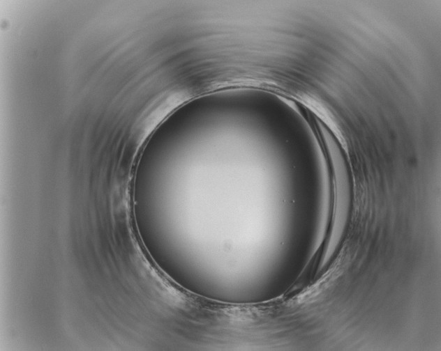 X0000086890906200704231125