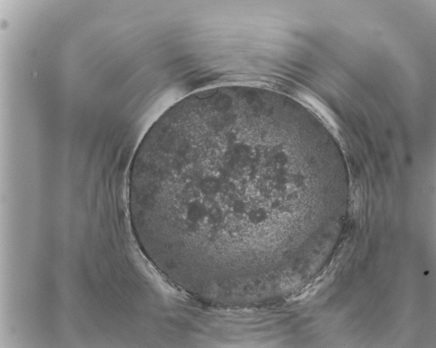 X0000086890907200704231125