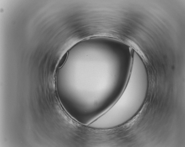 X0000086890908200704231125