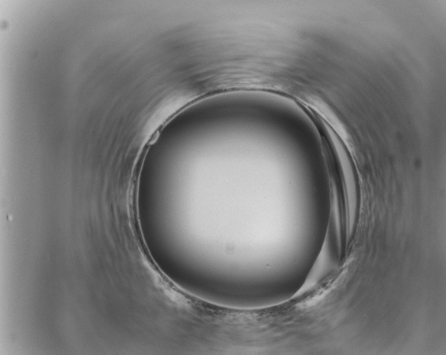 X0000086890909200704231125