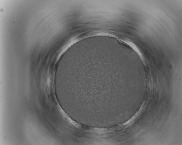 X0000086890910200704231125