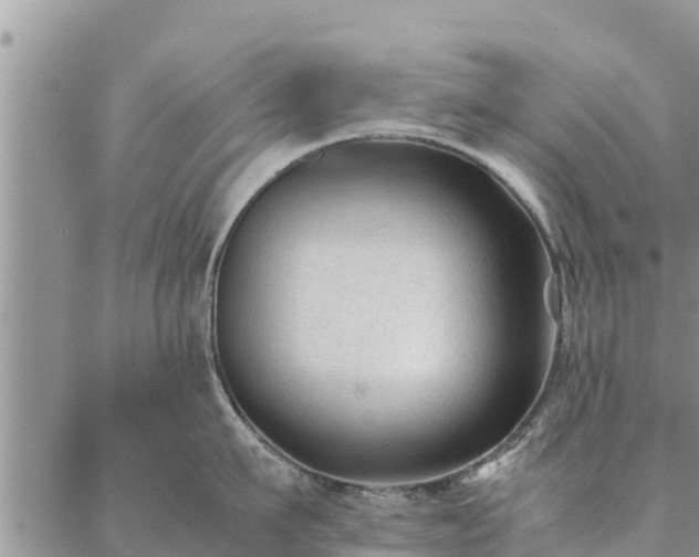 X0000086890911200704231125