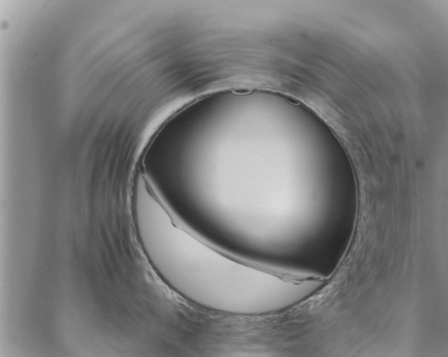 X0000086890912200704231125