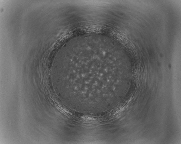 X0000086890913200704231124