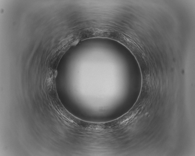 X0000086890914200704231124