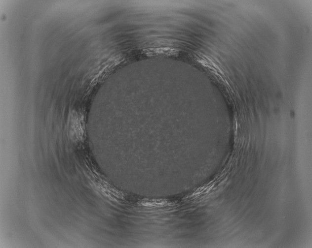 X0000086890915200704231124