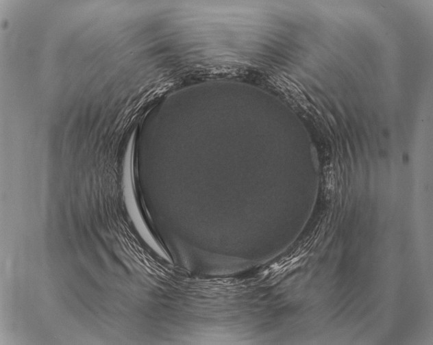 X0000086890916200704231124