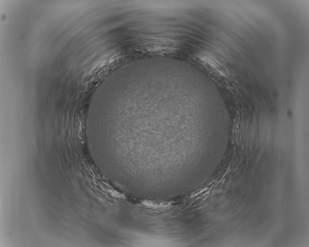 X0000086890917200704231124