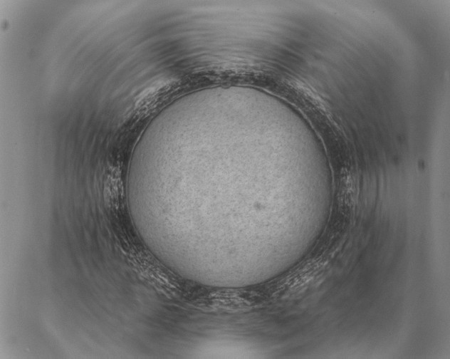 X0000086890918200704231124