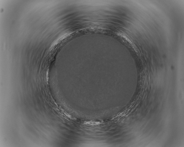 X0000086890919200704231124