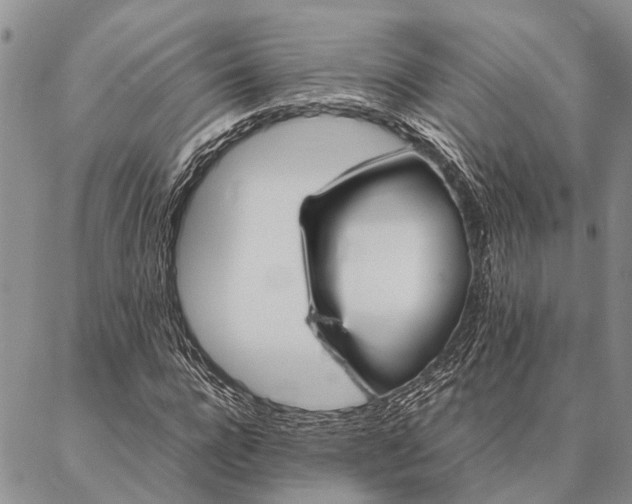 X0000086890920200704231124