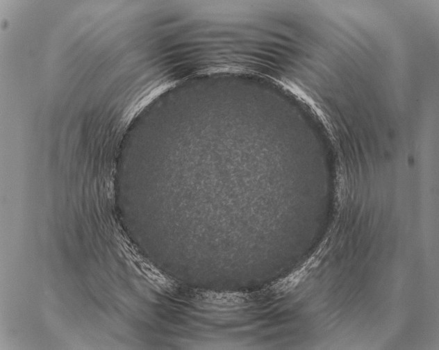 X0000086890921200704231124