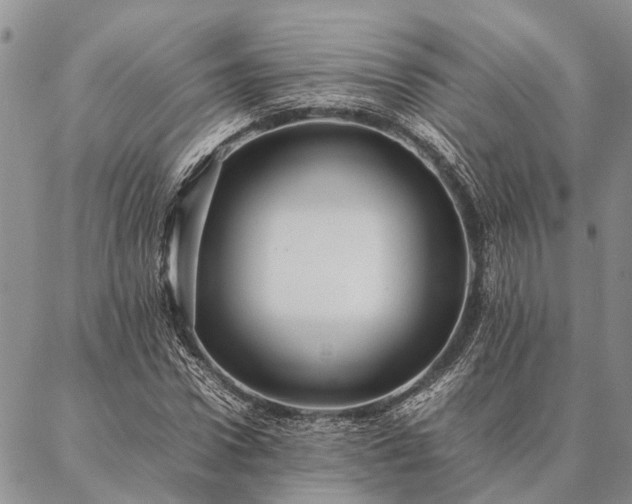 X0000086890922200704231124