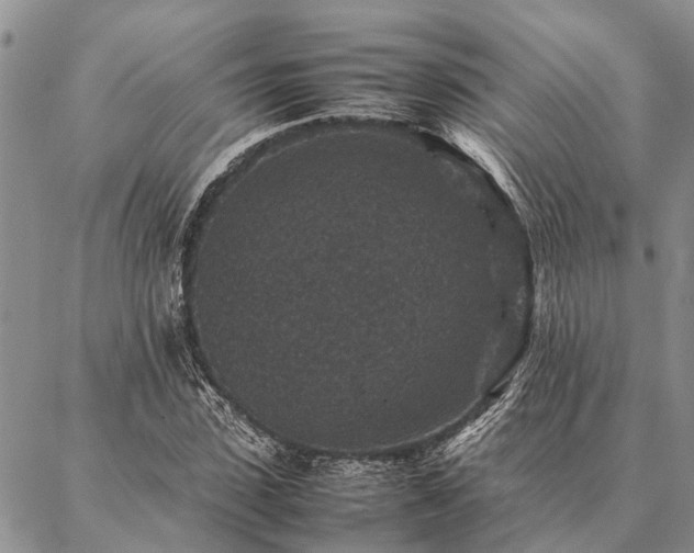 X0000086890923200704231124