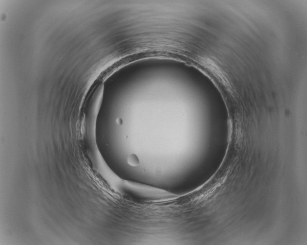 X0000086890924200704231124