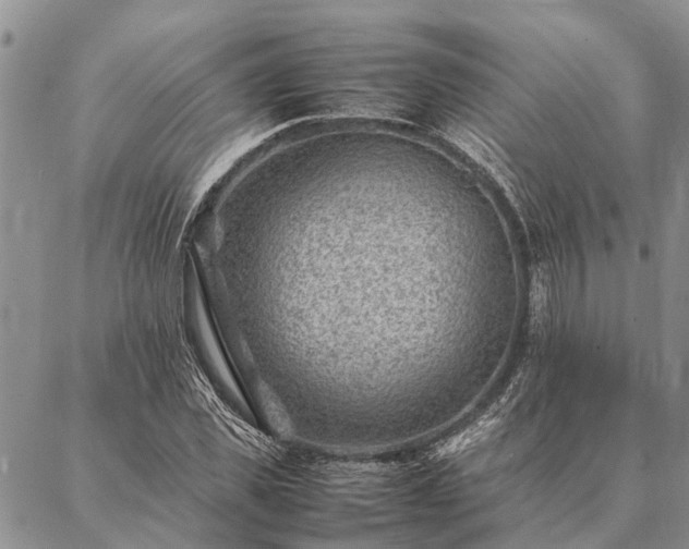 X0000086890925200704231124