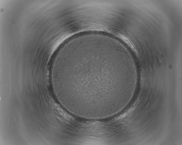 X0000086890926200704231124