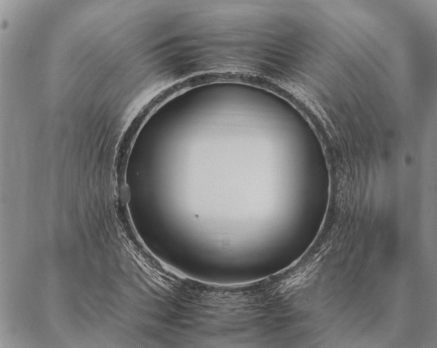 X0000086890927200704231124