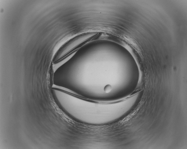 X0000086890928200704231124