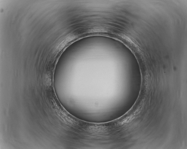 X0000086890929200704231124