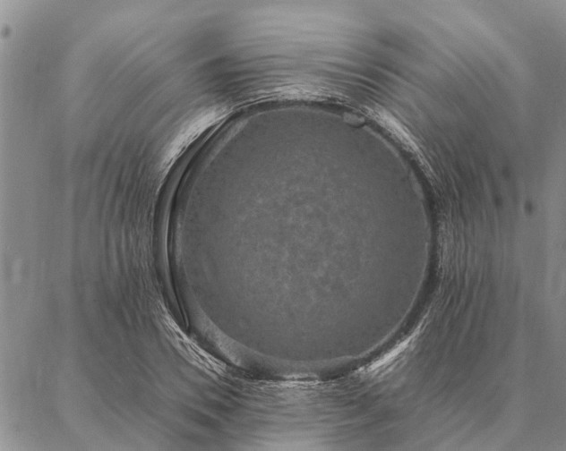 X0000086890930200704231124