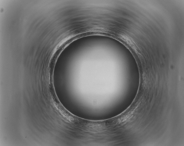 X0000086890931200704231124