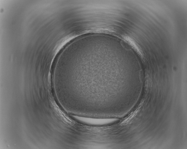 X0000086890932200704231124