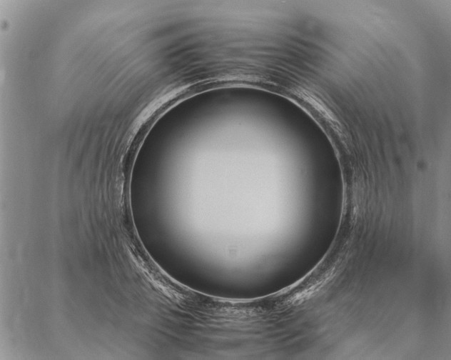 X0000086890933200704231124