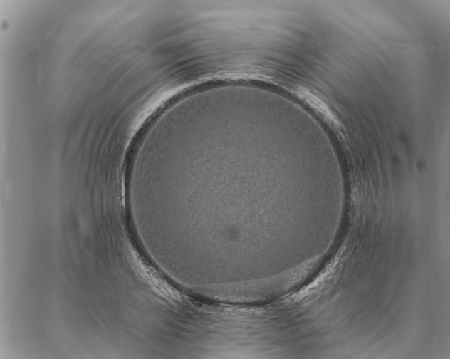 X0000086890934200704231124