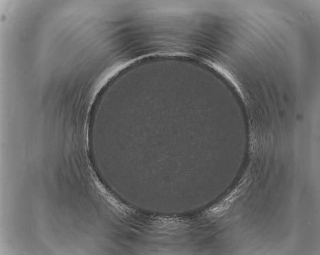 X0000086890935200704231124