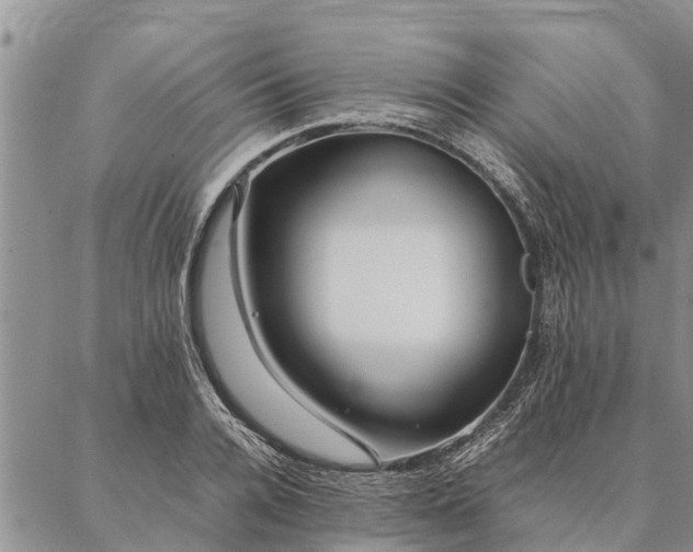 X0000086890936200704231124