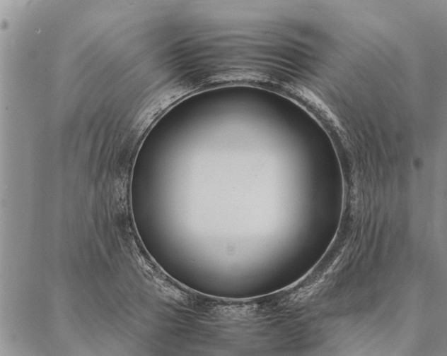 X0000086890937200704231124