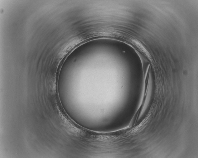 X0000086890938200704231124