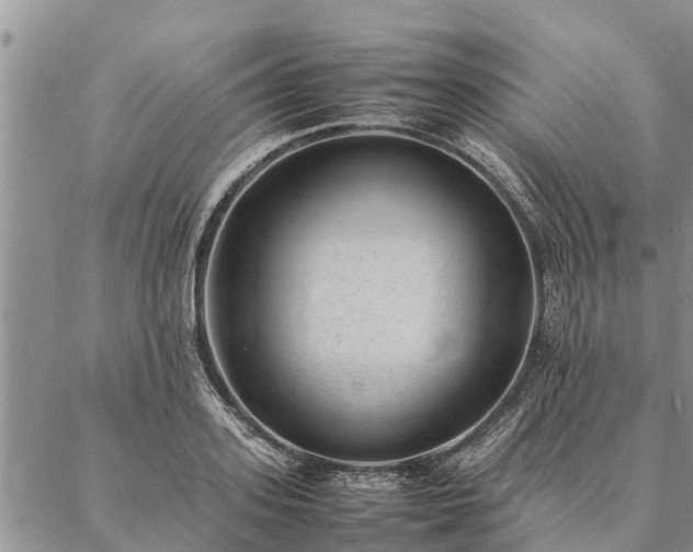 X0000086890939200704231124