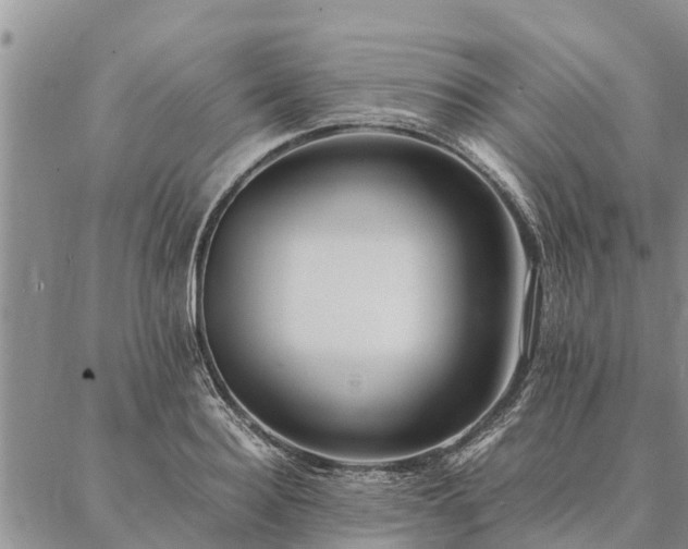 X0000086890940200704231124