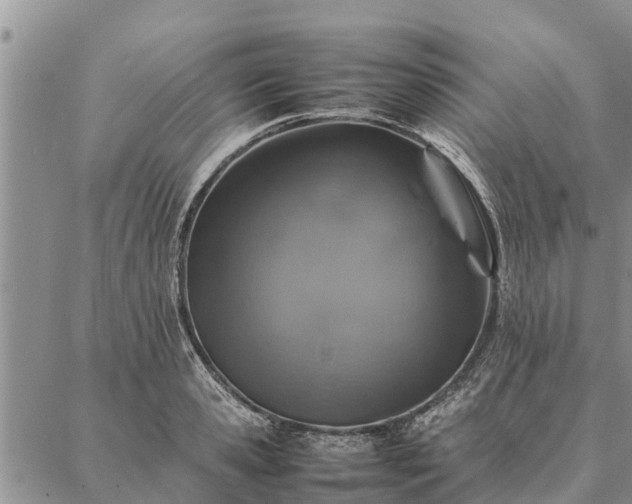 X0000086890941200704231124