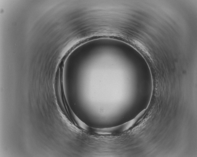 X0000086890942200704231124