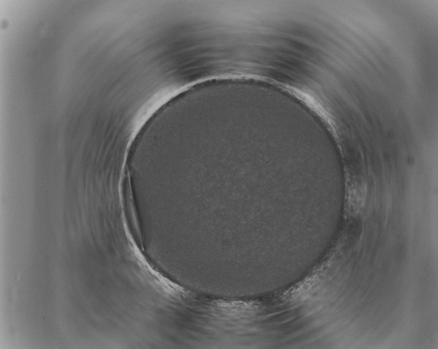 X0000086890943200704231124