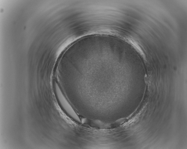 X0000086890944200704231124