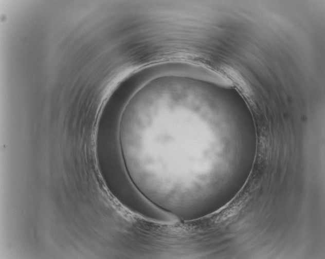 X0000086890948200704231125