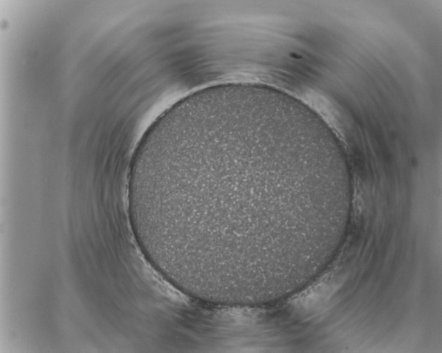 X0000086890950200704231125