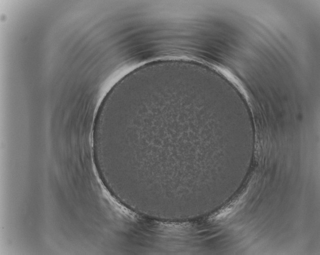 X0000086890951200704231125