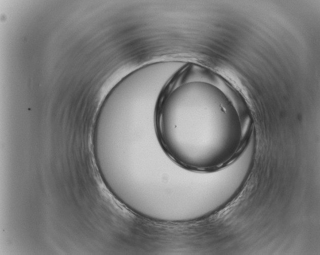 X0000086890952200704231125