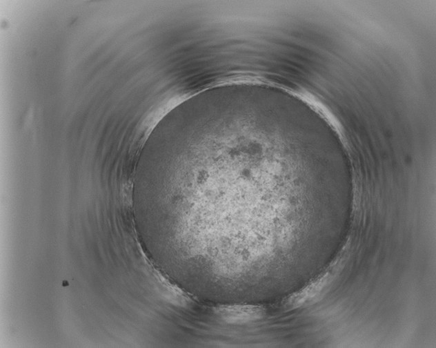 X0000086890953200704231125