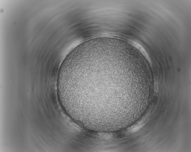 X0000086890954200704231125