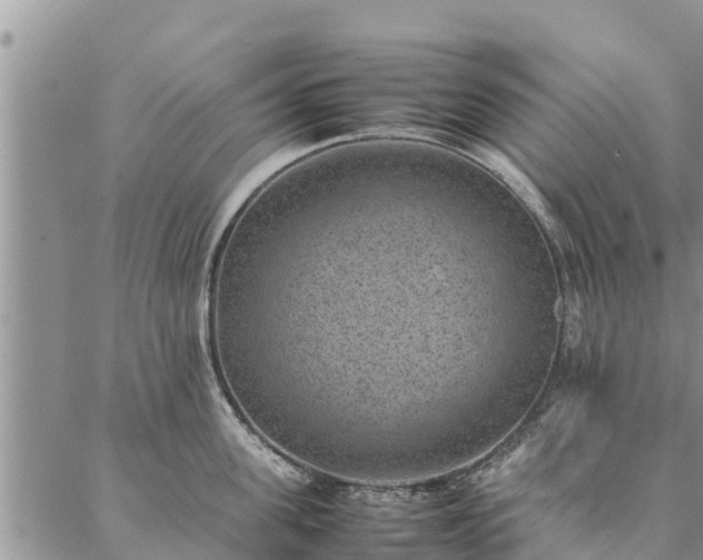 X0000086890955200704231125