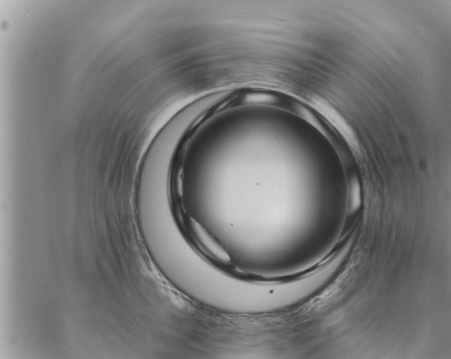 X0000086890956200704231125