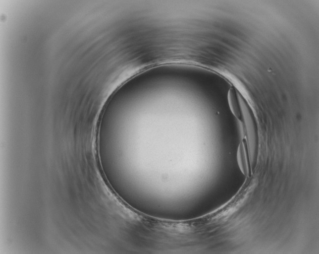 X0000086890957200704231125