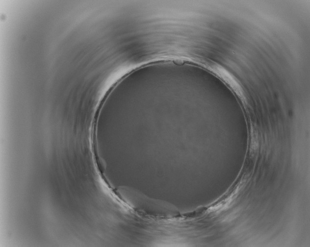 X0000086890958200704231125